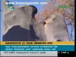 Budepeşte'de 55 Yıldırz Sönmeyen Ateş
