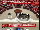 Veto Hakkı Yok, Onaylayacak