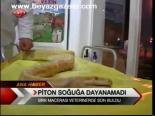 Piton Soğuğa Dayanamadı