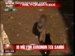 Milyoner Kedi