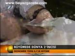 Büyümede Dünya 2'incisi