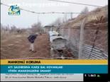 Mankenli Koruma