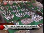 Balık Fiyatları Neden Düşmedi?