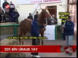 205 Bin Liralık Tay