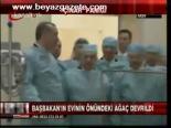 Kısıklı'da Çınar Paniği