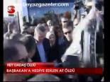 Hey Dadaş Öldü