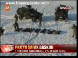 Pkk'ya Şafak Baskını