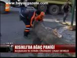 Kısıklı'da Ağaç Paniği