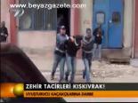 Zehir Tacirleri Kıskıvrak!