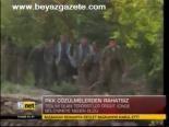 Pkk Çözülmelerden Rahatsız