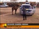 Devenin Kamera Merakı