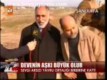 Devenin Aşkı Büyük Olur