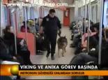Viking Ve Anika Görev Başında