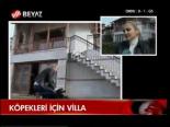 Köpekleri İçin Villa