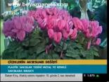 Çiçeklerin Aksesuarı Değişti