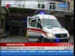 Organ Bağışı