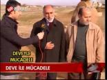 Deve İle Mücadele