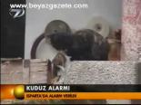 Kuduz Alarmı
