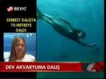 Dev Akvaryuma Dalış