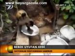 Bebek Uyutan Kedi