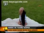 Bebek Ve Yavru Köpek