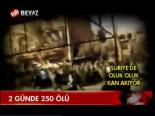 2 Günde 250 Ölü