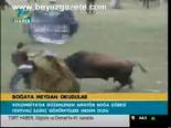 Boğaya Meydan Okudular