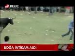 Boğa İntikam Aldı
