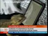 Hayvanlar Telefonda Avlandı!