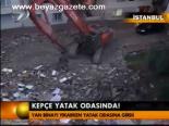 Kepçe Yatak Odasında!