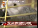 110 Saat Sonra Kurtarıldı
