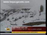 Her Yerde Kar Var