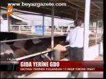 Gıda Yerine Gdo