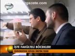 İşte Fakülteli Böcekler!