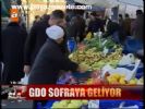 Gdo Sofraya Geliyor