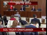 Gül Yasayı Onaylamadı