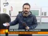Tam Donanımlı At Hastanesi