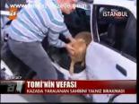 Tomi'nin Vefası