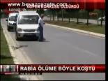 Rabia'yı Köpek Korkusu Öldürdü
