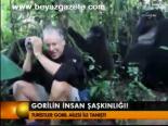 Gorilin İnsan Şaşkınlığı
