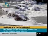 Soğuklar Oltu Çayı'nı Dondurdu