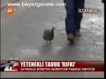 Yetenekli Tavuk Rıfkı