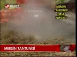 Mersin Tantunisi
