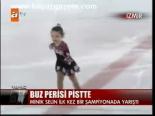 Buz Perisi Pistte