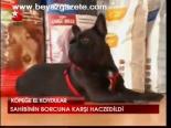 Köpeğe El Koydular