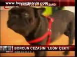 Borcun Cezasını Leon Çekti