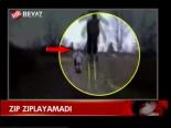 Zıp Zıplayamadı