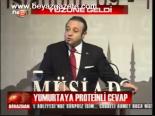 Yumurtaya Proteinli Cevap