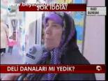 Deli Danalar Mı Yedik?