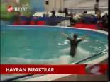 Hayran Bıraktılar